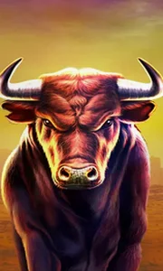 Black Bull